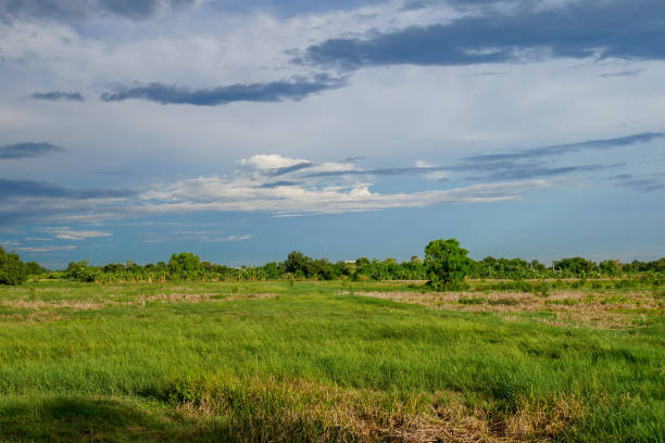 istock landscape green field before rain storm at thailand 1157706123
