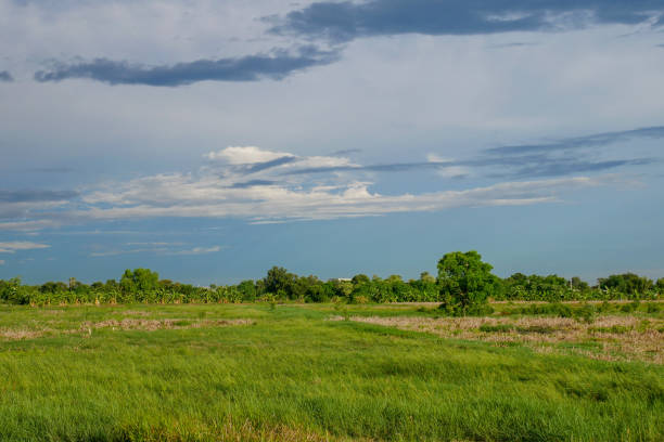 istock landscape green field before rain storm at thailand 1157706133