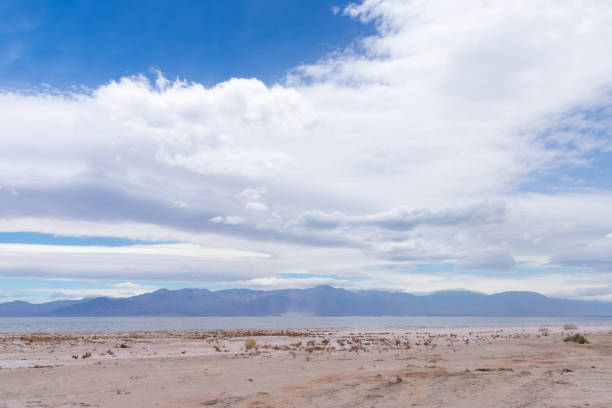 istock Desert view at Salton Sea recreation area 1157708201