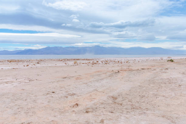 Desert view at Salton Sea recreation area