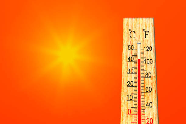 sommerhitze. thermometer zeigt hohe temperatur im sommer. umgebungstemperatur plus 42 grad celsius - additionstaste grafiken stock-fotos und bilder