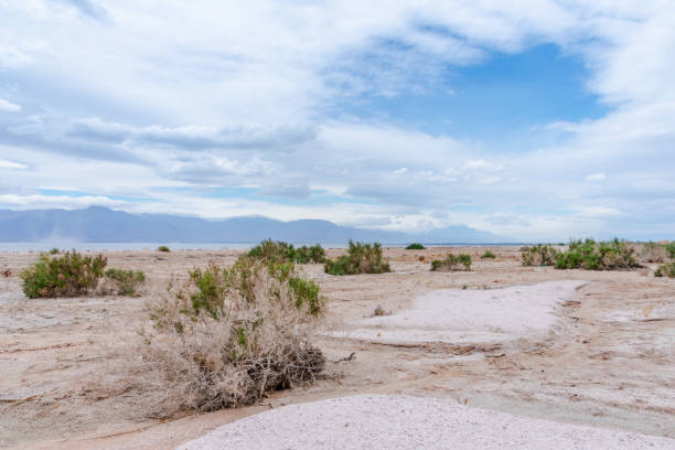 istock Desert view at Salton Sea recreation area 1157708774