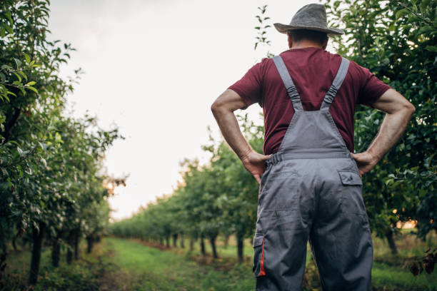 istock Farmer in the orchard 1157709882