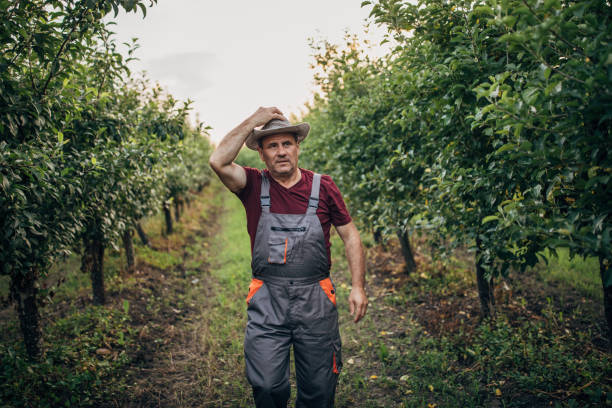 istock Farmer in the orchard 1157709917