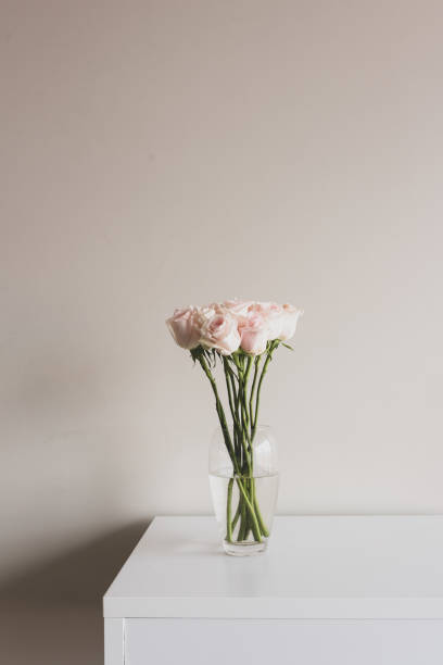 istock Pale pink roses in vase on white cabinet 1157710174