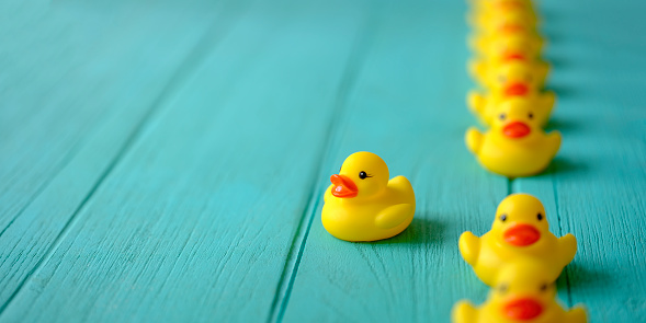 Line of yellow rubber ducks, moving in an orderly line, with one yellow duck breaking ranks moving out of the line following it's own direction, set on a turquoise colored wooden grained background, conceptually representing water. Concept image representing; standing out from the crowd, against the grain, freedom, individuality, against the grain, change, innovation etc.