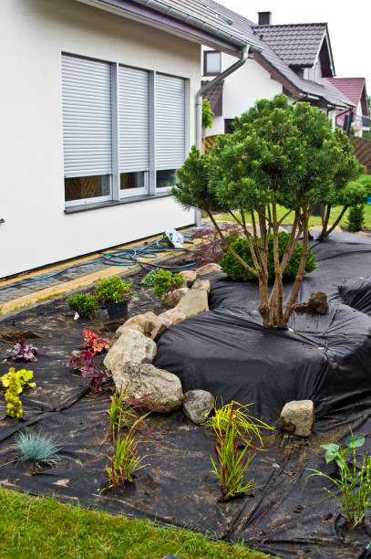 istock Making new home garden decorations, planting evergreen trees 1157710617