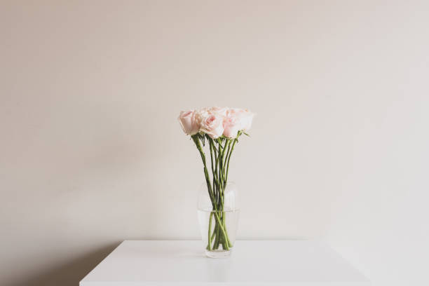 istock Pale pink roses in vase on white table 1157711203