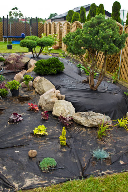 istock Making new home garden decorations, planting evergreen trees 1157711283