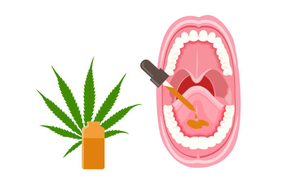 illustrations, cliparts, dessins animés et icônes de baisses d'huile sublinguale de cbd - sublingual