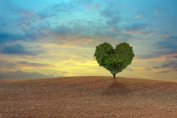 istock green heart shaped tree on a field 1157712891