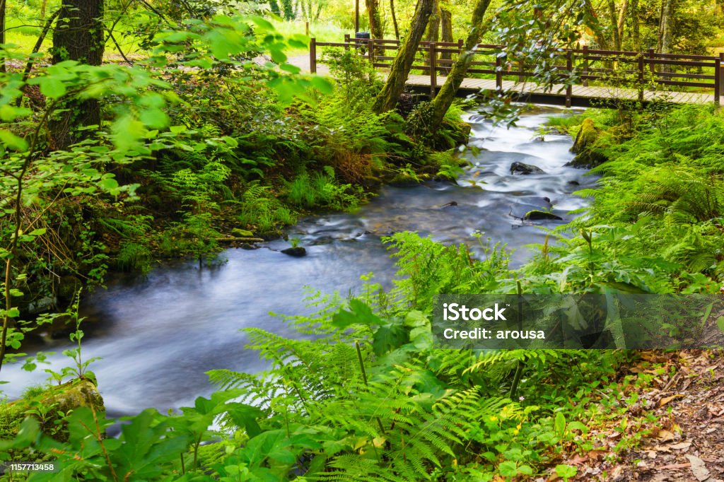 With Rivers Raring Below River Flowing Under Pedestrian Bridge Stock Photo - Download Image Now ...