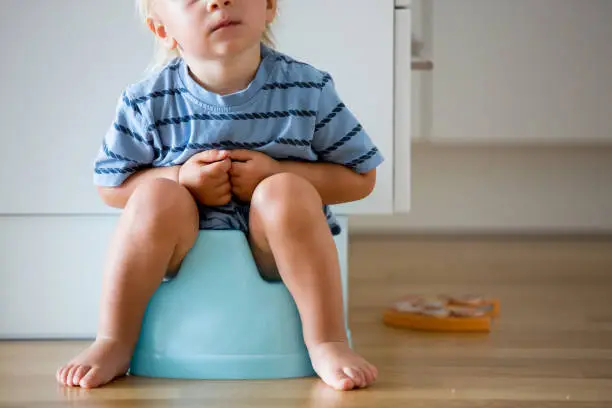 Little toddler boy, sitting on potty, playing with wooden toy at home