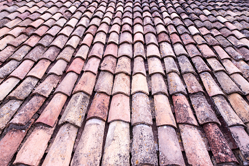 Old clay ceramic roofing tile with pine needles