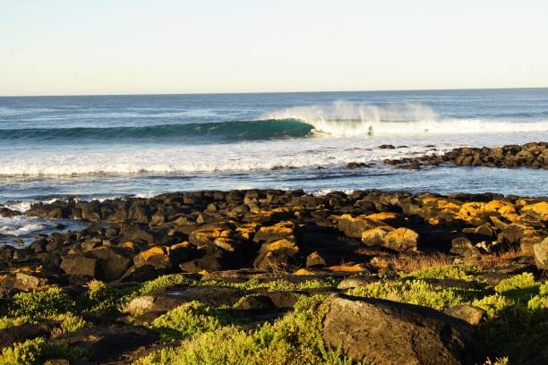 istock Rocky Surf Beach in Early Morning Light 1157724111
