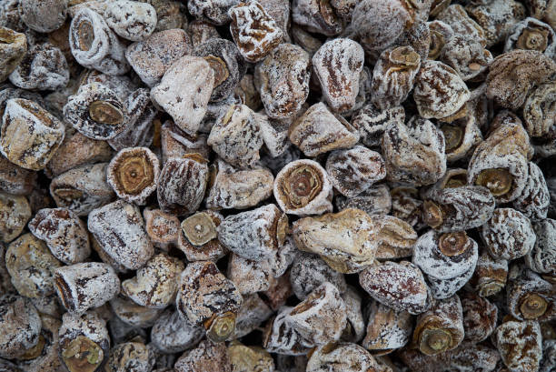 istock Dried persimmon texture background, close-up, top view. Preserved persimmon 1157726546