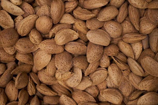 Dried almond in shell texture background. Unpeeled almond nuts , close-up