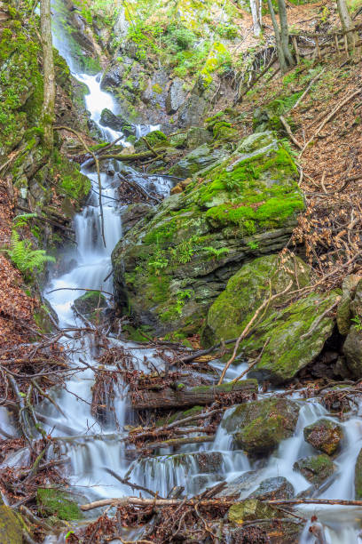 istock Beautiful tall waterfall flowing between moss-covered rocks and branches 1157732458