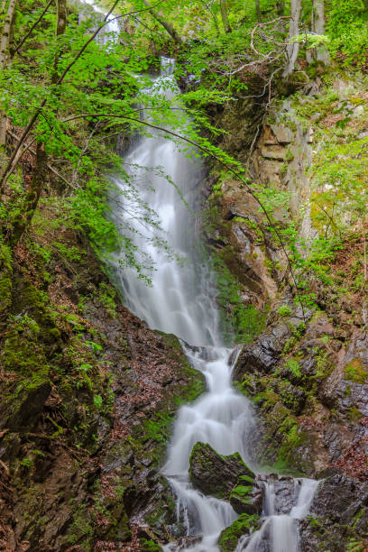 istock Beautiful wild waterfall in the forest in Serbia 1157732514