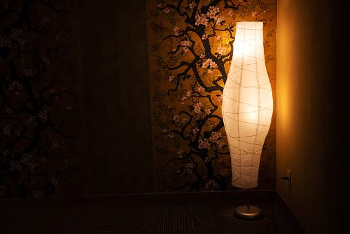 Traditional lamp decorated near cherry blossom painting wall with light up and dark zone.