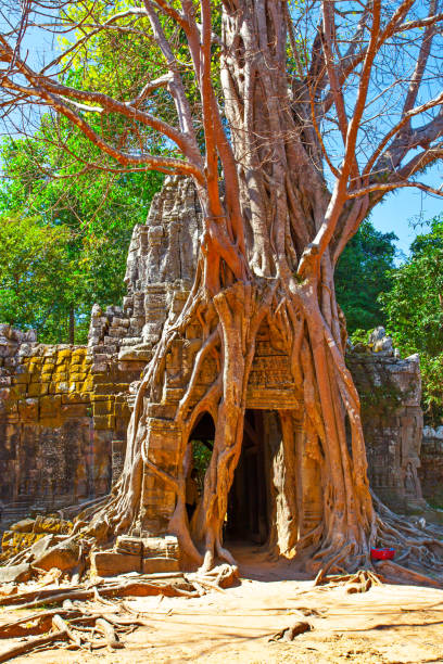 istock Angkor Wat in Cambodia 1157737878