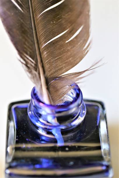 istock quill pen and inkwell on white background 1157737898