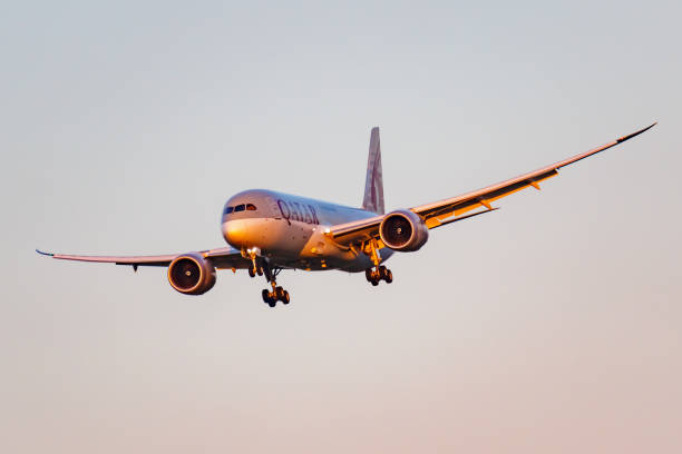 화창한 저녁에 푸른 하늘 배경에 모스크바 도모데도보 국제 공항에 착륙 카타르항공의 항공기 보잉 787-8 드림 라이너 a7-bcu - qatar airways 뉴스 사진 이미지