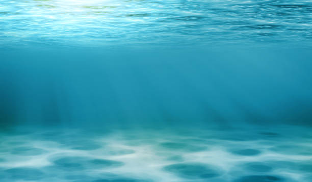 istock Underwater view of the sea 1157739944