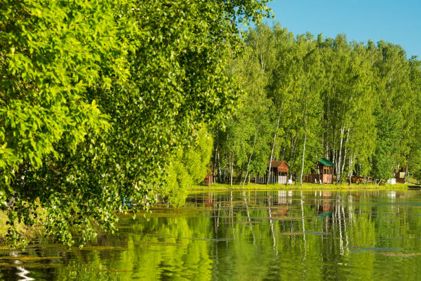 istock Blue lake in forest, Russian landscapes, beautiful nature 1157740887