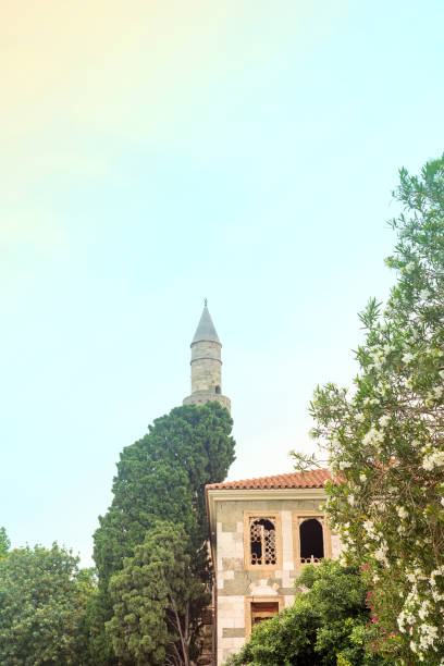 istock Scenery with green trees and old house on a blue sky 1157747239