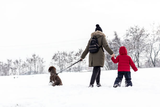 istock Happy young family on a fresh snow day 1157747328