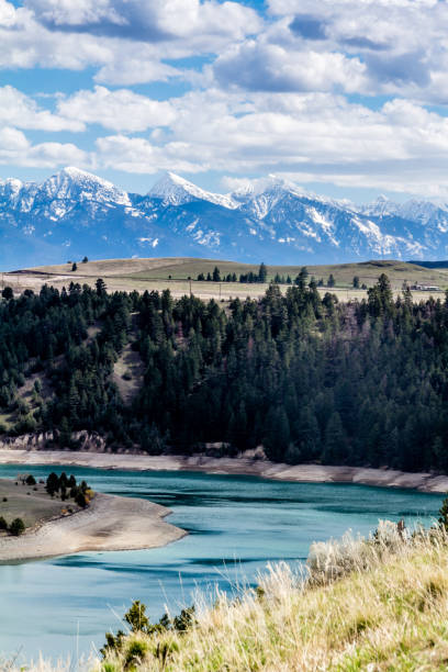 Kerr Dam, Seli