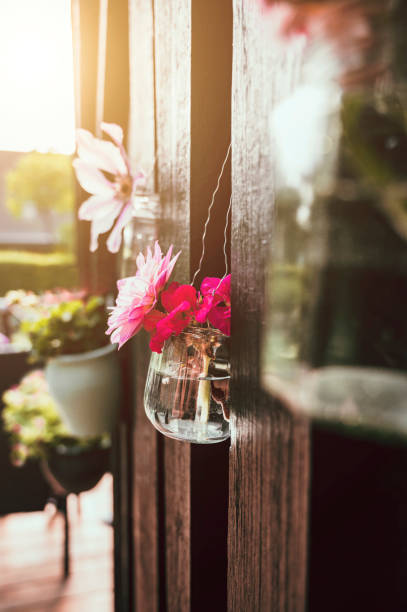 istock Sun shines on upcycle DIY project with used and old products turned into something new 1157750306