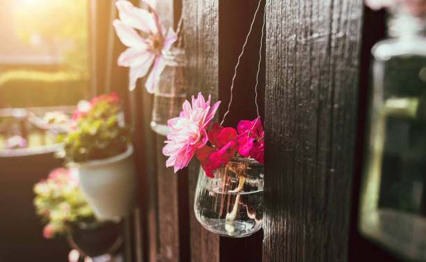 istock Sun shines on upcycle DIY project with old products turned into something new 1157750485
