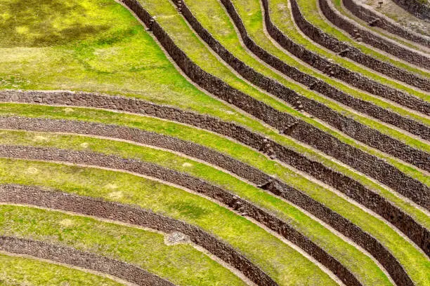 Photo of Agricultural terracing of Moray, Peru