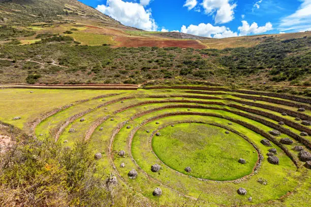 Photo of Agricultural terracing of Moray, Peru