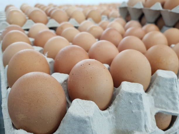 istock Organic egg in tray ready for sale. 1157752978