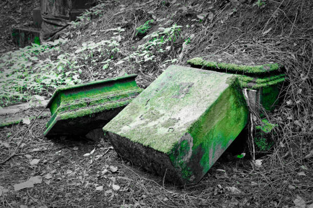 Broken tombstone with damage on a graveyard in green