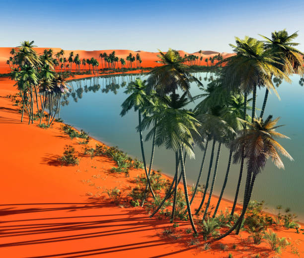 Saharan  oasis at sunset aerial view
