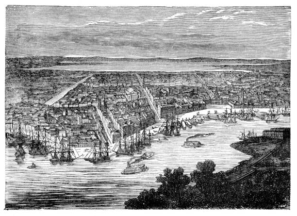 новый орлеан вдоль реки миссисипи иллюстрация 1887 - mississippi river illustrations stock illustrations