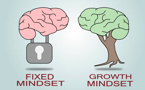 fixed mindset vs growth mindset.vector - initiative innovation business aspirations stock-grafiken, -clipart, -cartoons und -symbole