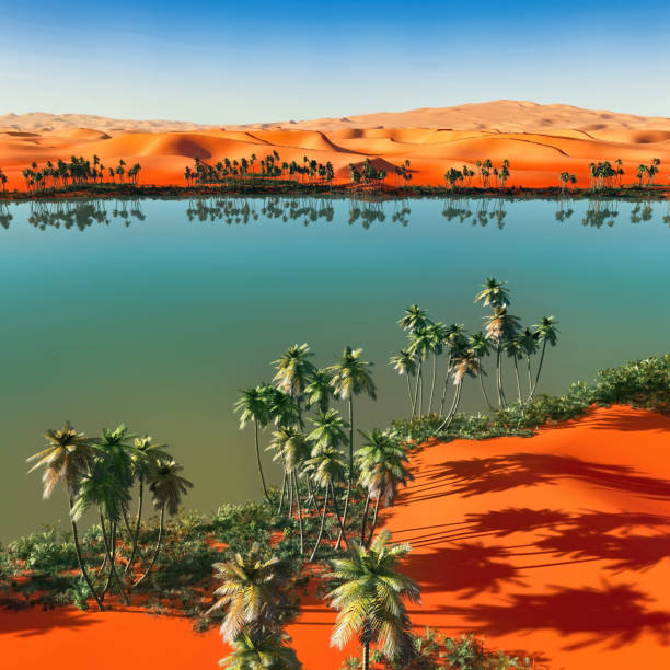 Saharan  oasis at sunset aerial view