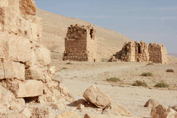 istock Palmyra (tedmur - tadmur) ruins, Humus - Syria 1157756353