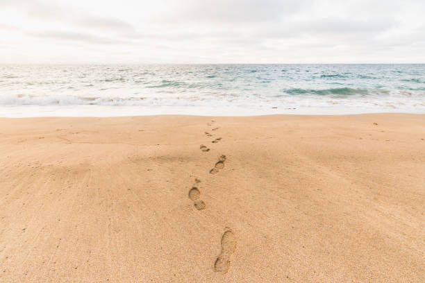 스카르드스비크 해변, 스나이펠스네스 반도, 아이슬란드의 해물로 들어가는 인간의 발자국 - sand footprint track following 뉴스 사진 이미지