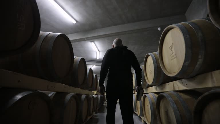 Man walking wine cellar full of wooden casks