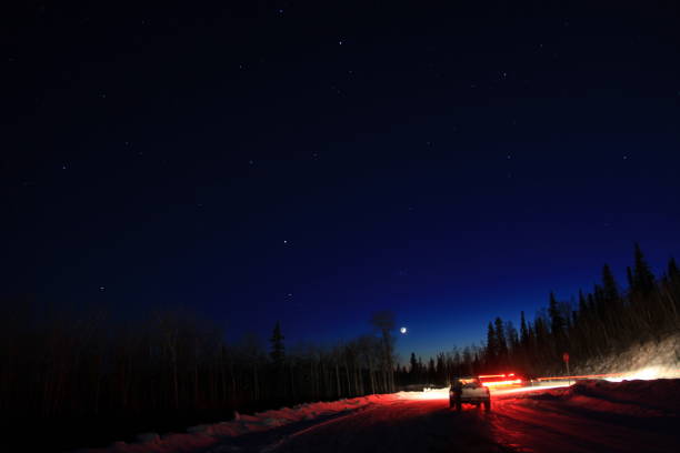 istock Starry night in a forest in Alaska 1157759669