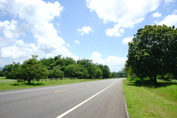 Thailand, tree, asia, Road, Point of View