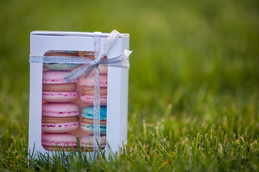 Cardboard white gift box with colorful handmade macaron cookies on green grass lawn background.