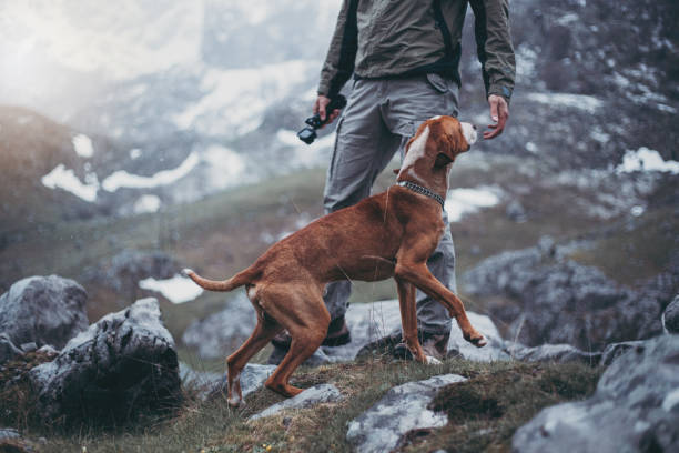 Hiking adventure