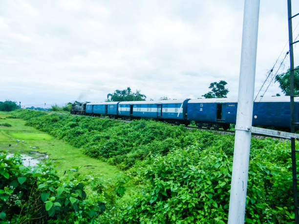вид на поезд калькутта в джалдапару, идённый в джалдапаре возле района дверей, путешествующий по железной дороге через зеленые травянистые - burma railway стоковые фото и изображения